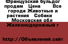 Французский бульдог продам › Цена ­ 1 - Все города Животные и растения » Собаки   . Московская обл.,Железнодорожный г.